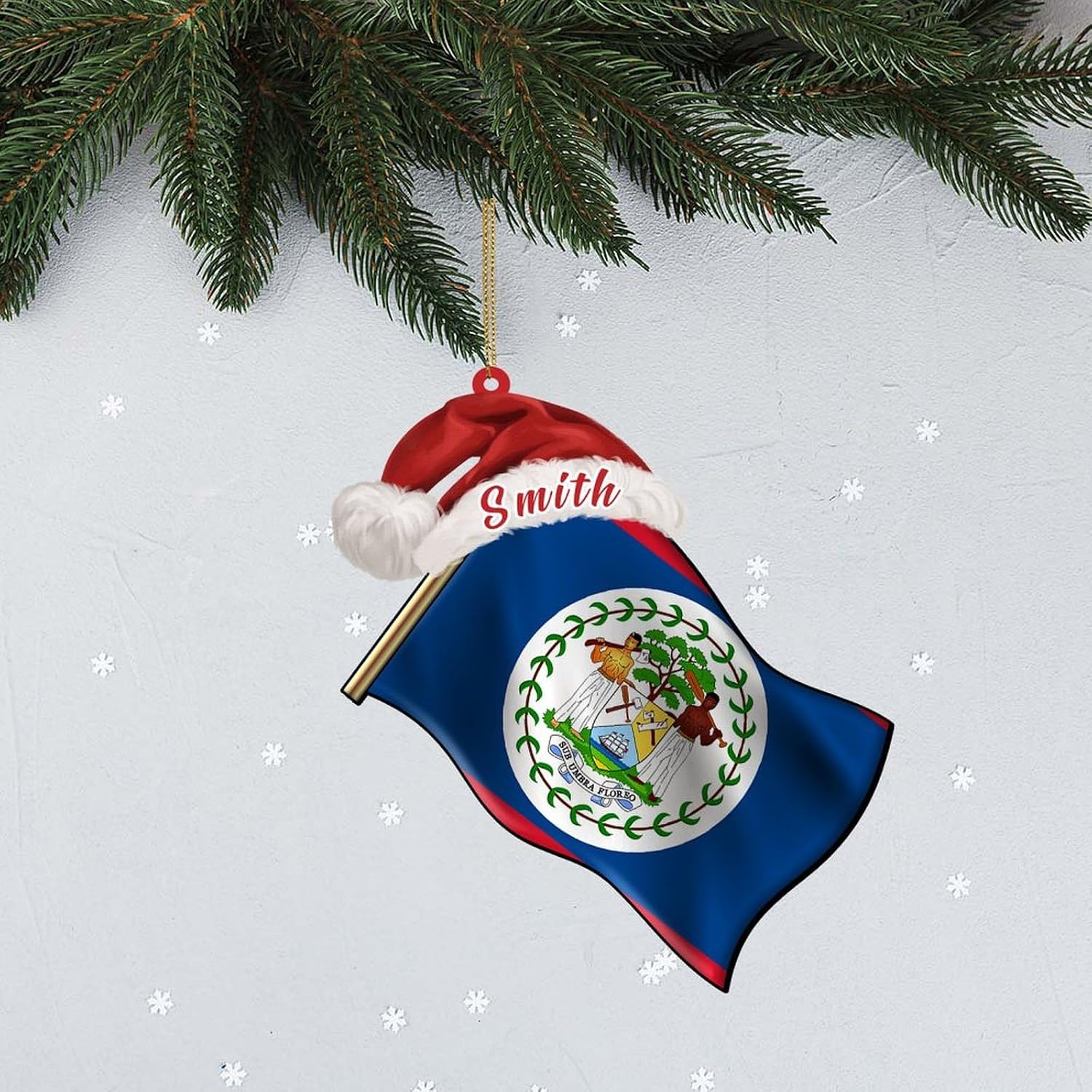 Custom Christmas Ornament with Belize Flag World Travel Lover Gifts 2D Flag Flat Shape Tree Hanging Decoration Xmas Present Keepsake Collectible Winter Holiday New Year for Family image 4