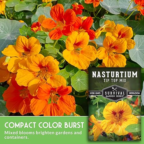 Miniatura 3 de Survival Garden Seeds - Tip Top Mix - Semillas de capuchina para plantar - 1 paquete con instrucciones para plantar y cultivar flores comestibles y