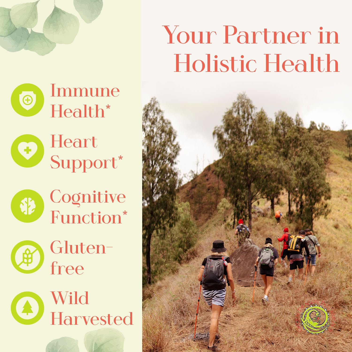 Japanese Knotweed Capsules 500 mg 100 Capsules Made in USA - Natural Source of Resveratrol Immune Support Supplement Non-GMO Gluten-Free Vegetarian Japanese Knotweed Root for Cardiovascular Health.* — Amazon image 2