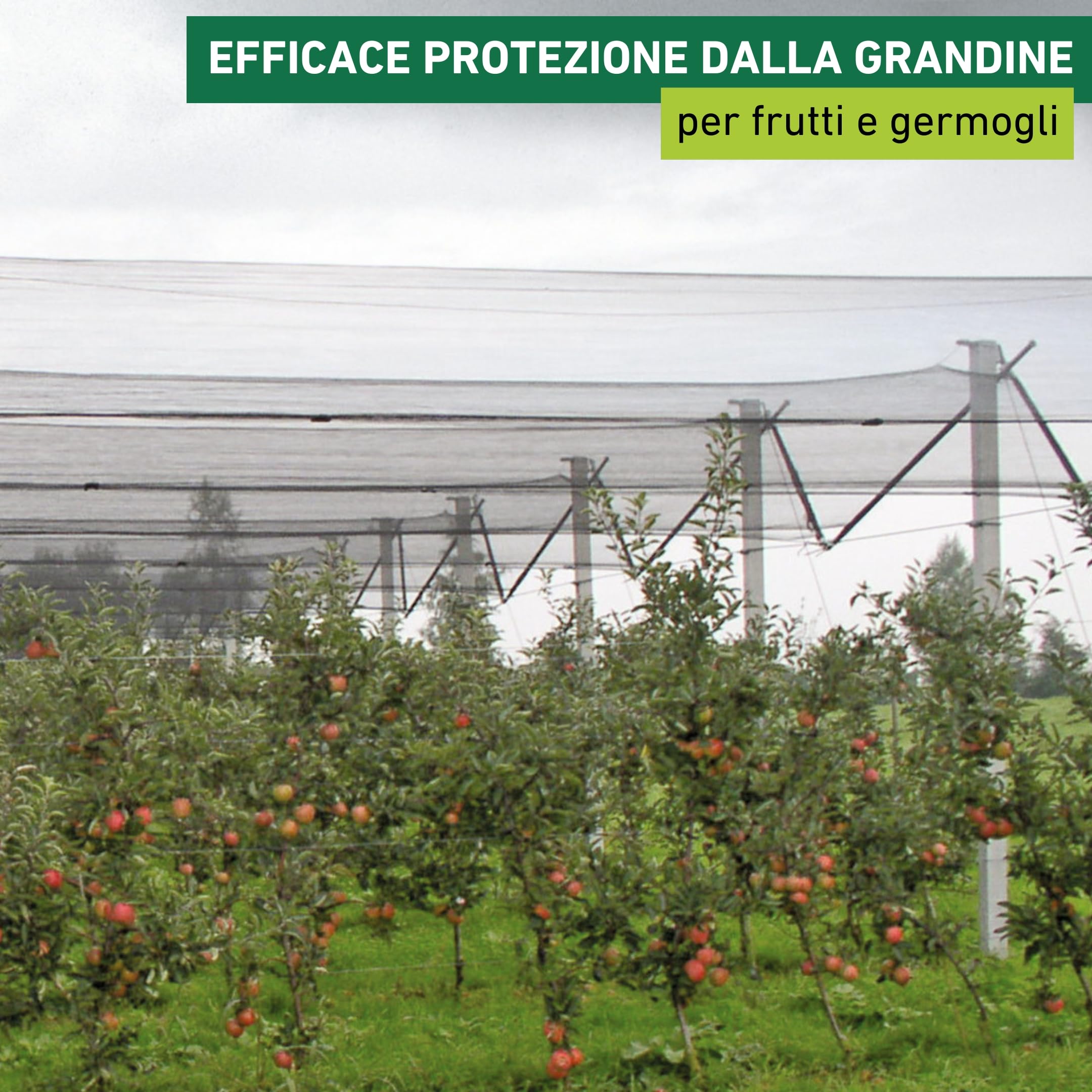 Windhager Rete antigrandine, rete per laghetti, rete per la raccolta, maglia 8 mm, 5 x 4 m, verde