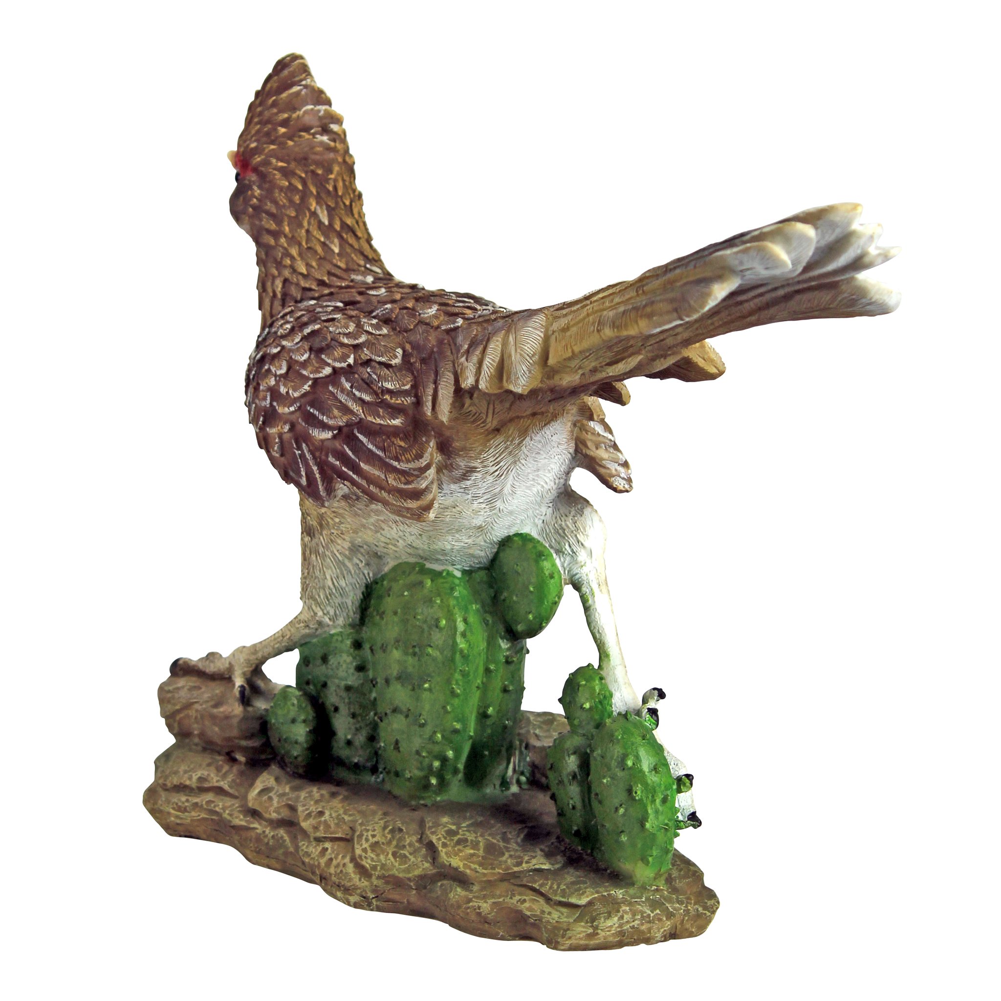 Amazon.com : Design Toscano QM2757200 The Great Roadrunner Statue