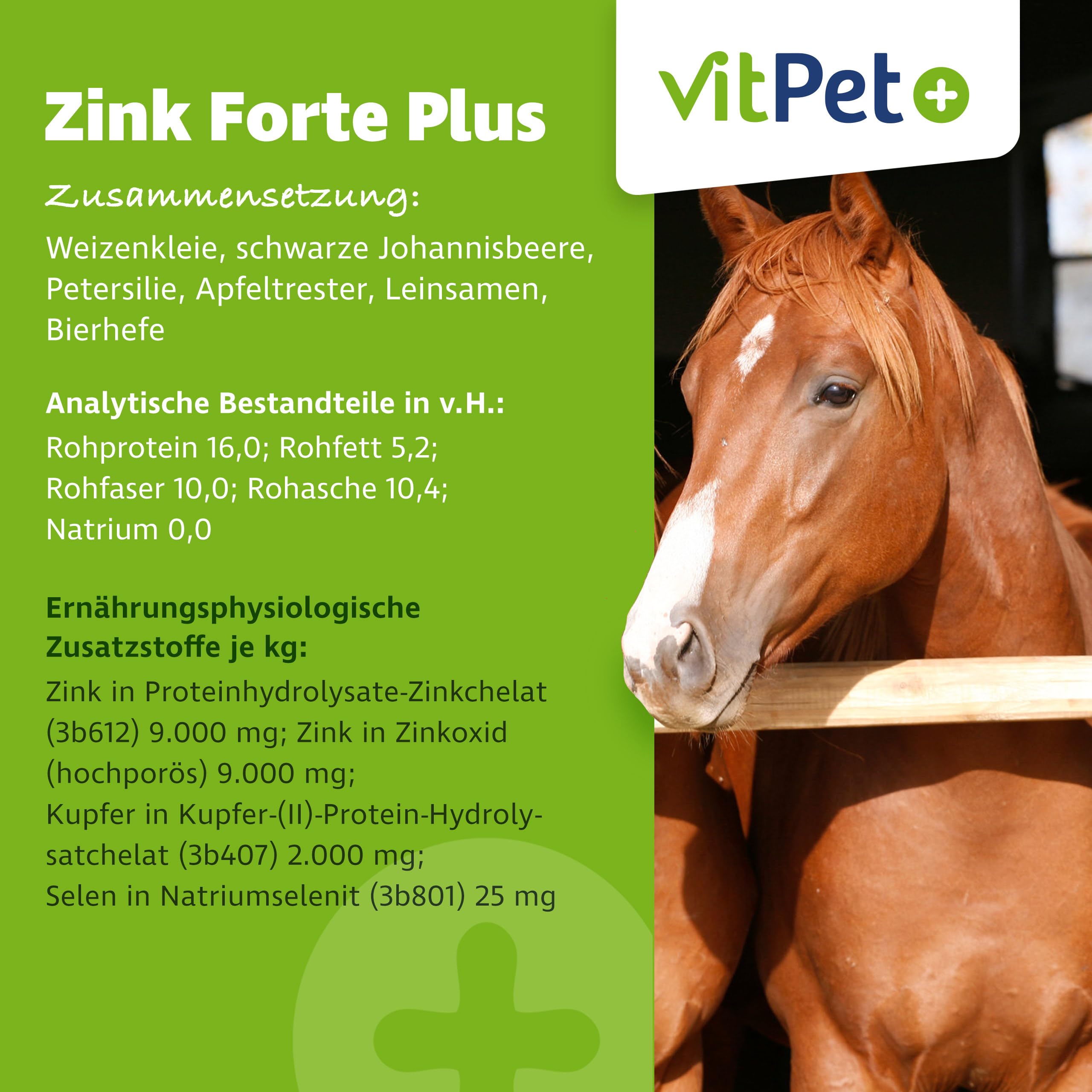 Zinc Forte Plus – Alta dosis de zinc para caballos – 1,8 kg – Alimento complementario Plus cobre y selenio – Para piel, pezuñas y sistema inmunológico – Incluye cuchara dosificadora