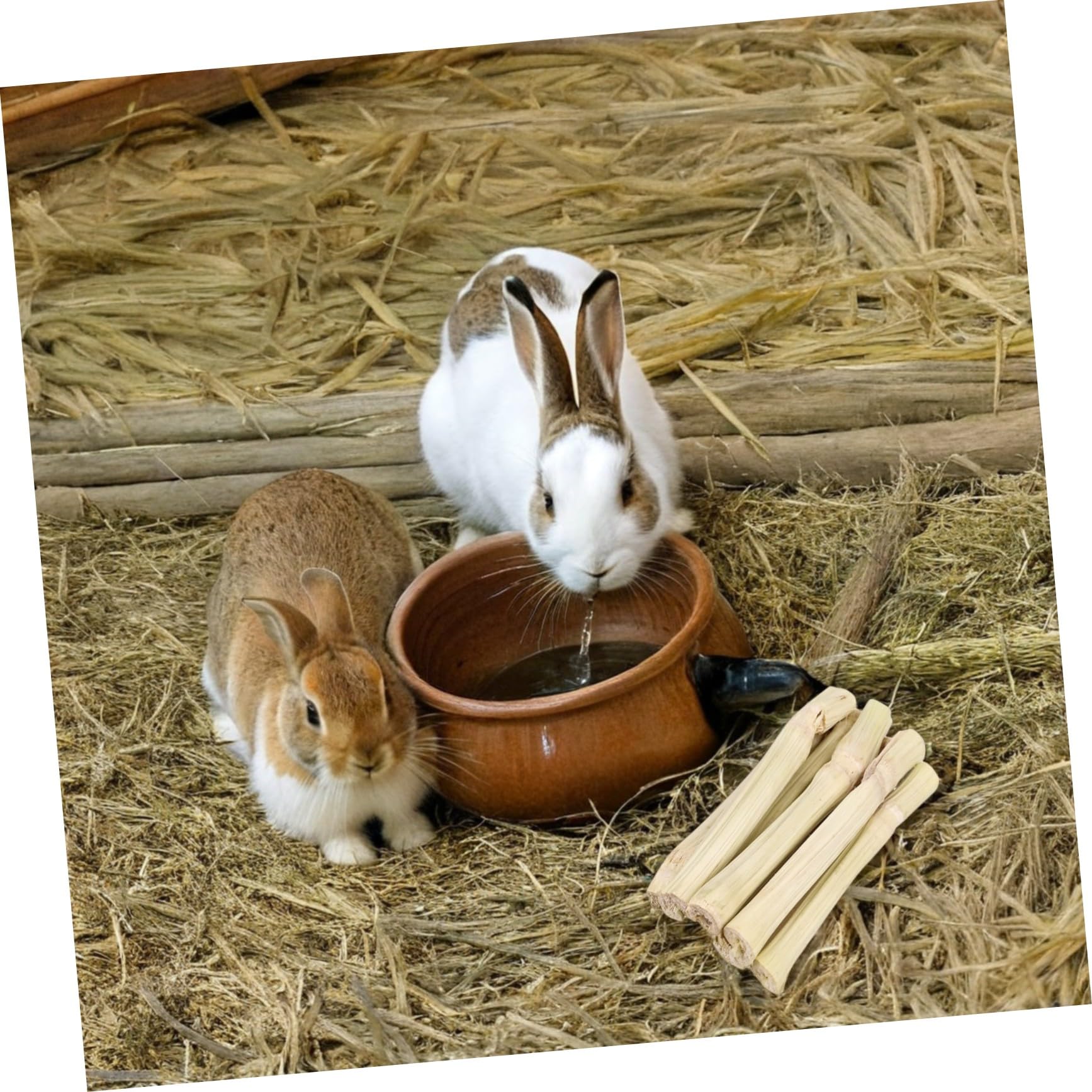 BESPORTBLE Kauspielzeug aus Bambus für Kaninchen Chinchillas Zahnpflege Natürliche Kaustange für Kleintiere
