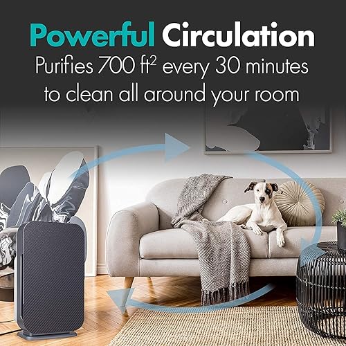 Miniatura 10 de Alen BreatheSmart Flex purificador de aire para habitaciones grandes Espresso,Grafito,Blanco,Blanco (embalaje ecomm)