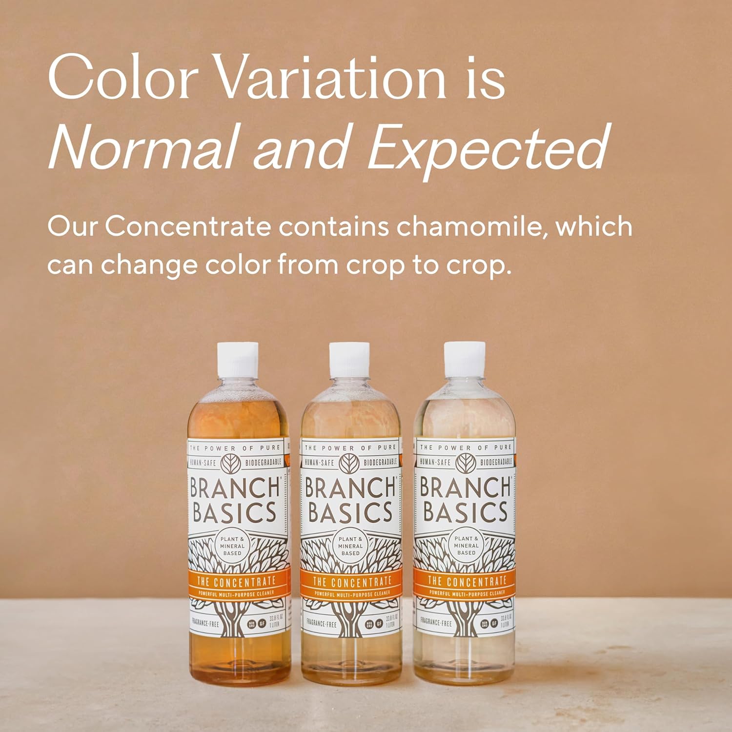 Branch Basics Concentrate (33.8 oz) + Oxygen Boost (2 lbs) | Multi-Surface All Purpose Cleaner Concentrate + Natural Stain Remover, Grout Cleaner | Human-Safe, Fragrance Free - Image 9