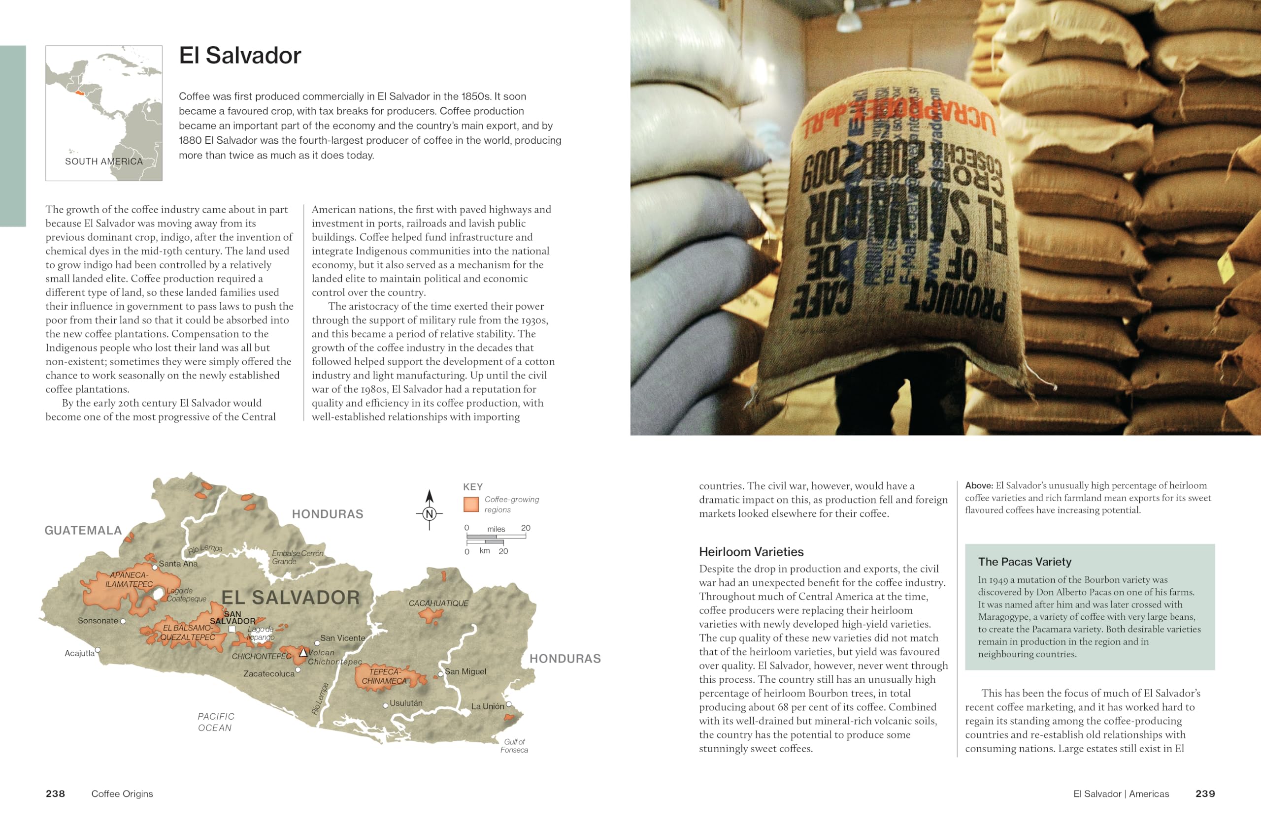 The World Atlas of Coffee 3rd edition: From beans to brewing – coffees explored, explained and enjoyed
