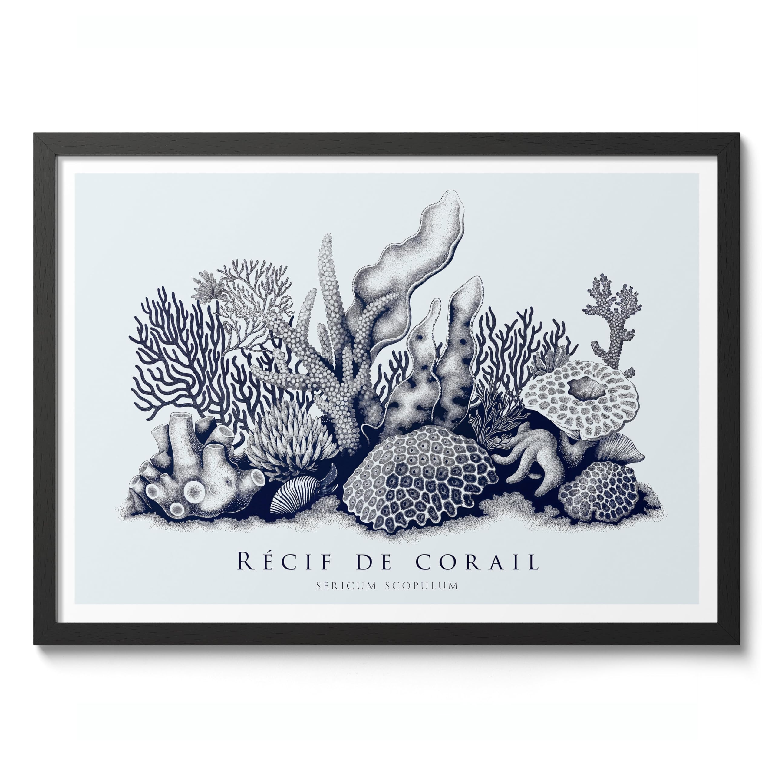 Animato Coral Reef Nautical Exhibition Art Print, Vintage Botanical Prints, Retro Sealife Oceanography Illustration Wall Art Pictures, Nature Bathroom Home Decor, A1 (Print Only) - 84.1x59.4cm — image 1