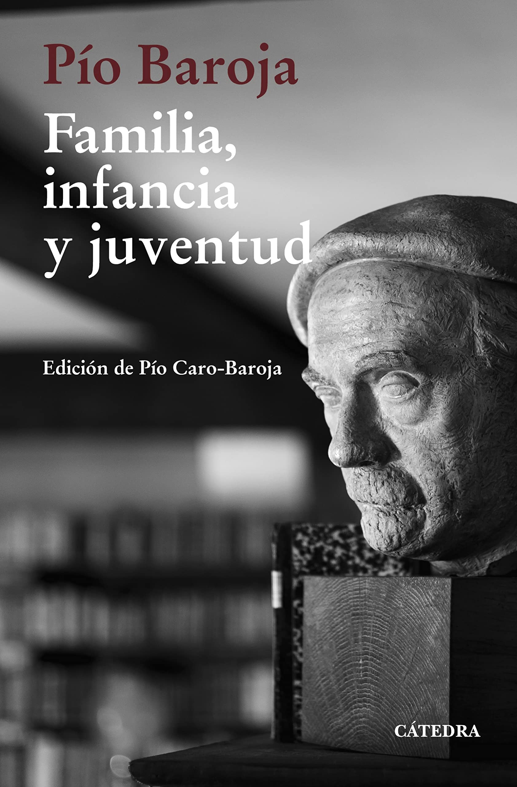 Familia infancia y juventud memorias livre espagnol pour bibliothèque