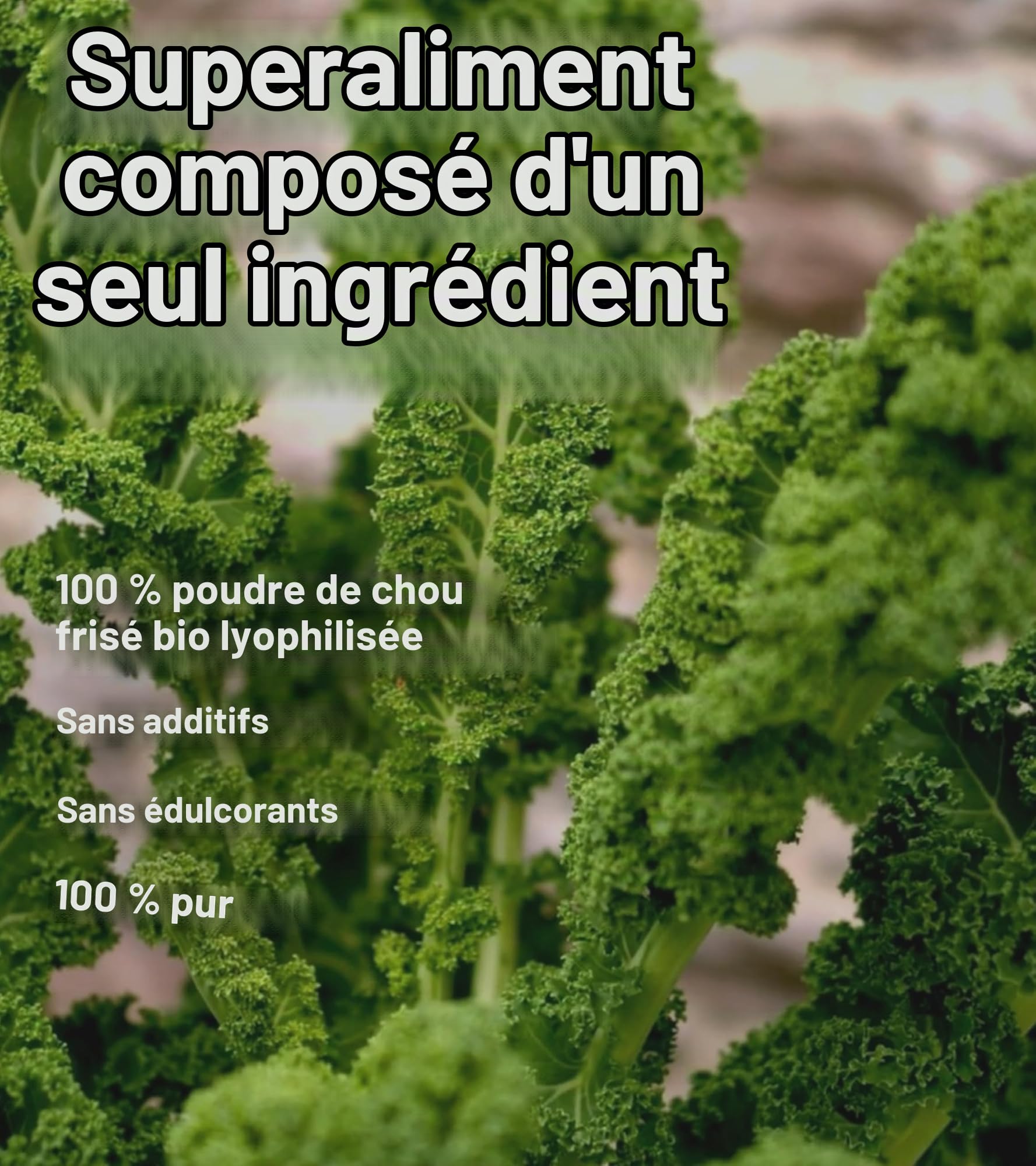 Pure Superfood Bioactive Kale Powder - 100% de Chou Frisé Lyophilisé, Haute Teneur en Protéines, Kalzium, Vitamine C et K. Riche en Antioxydants, 9 Acides Aminés Essentiels, 25 x 2g