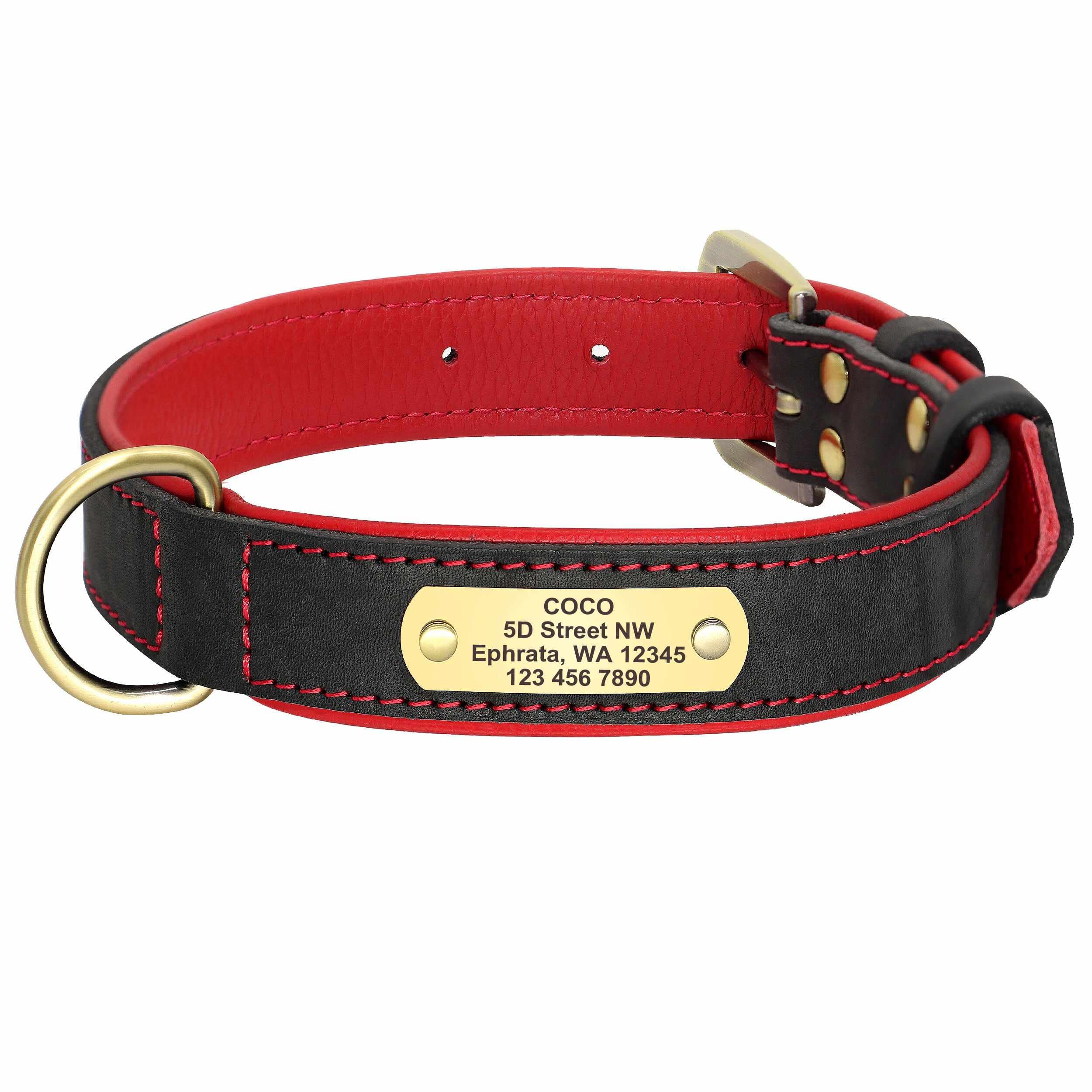 Exklusives Leder Hundehalsband mit großer Gravurplatte und gratis Gravur von Name und Telefon, für mittlere und große Hunde Schwarz/L 43-55cm