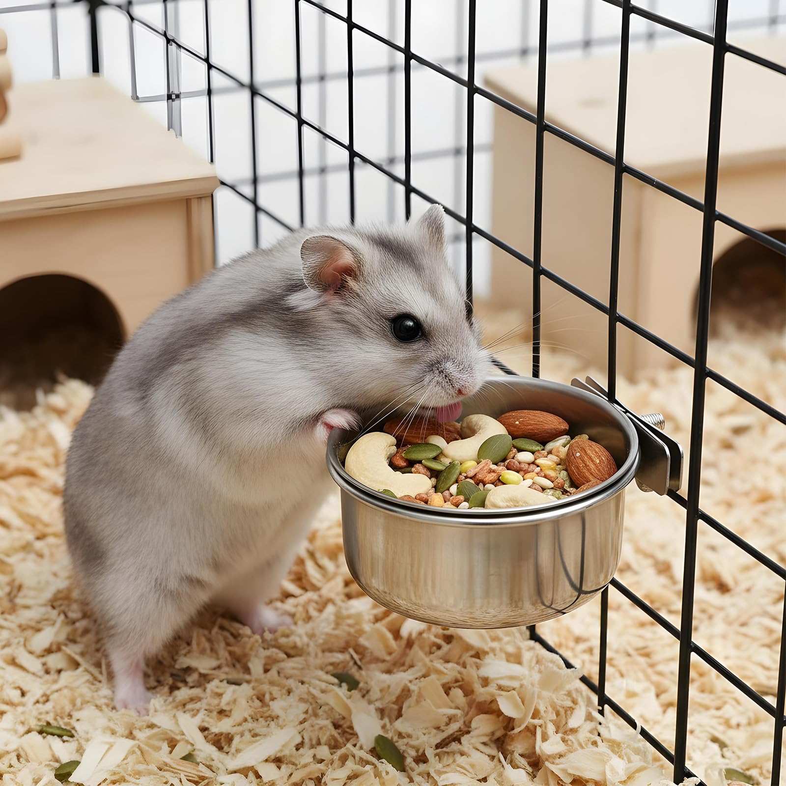 10 Pack Stainless Steel Bird Food Bowls with Clamp Holder, Parrot Feeding Dish Cups for Cage, Rustproof Bird Water Feeders for Cockatiel Conure Budgie Parakeet Macaw Lovebird Small Animals - image 4