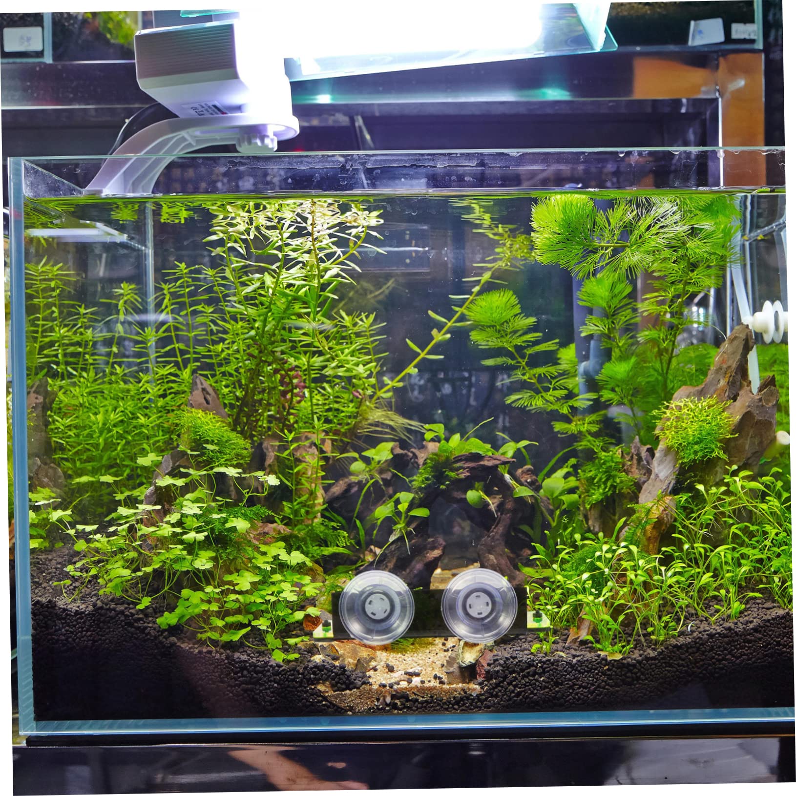 Mipcase 3stücke Acryl Korallen Rack Für Aquarium Korallen Unterstützung Praktisch Und Stabil Für Aquarienpflege Und Zucht