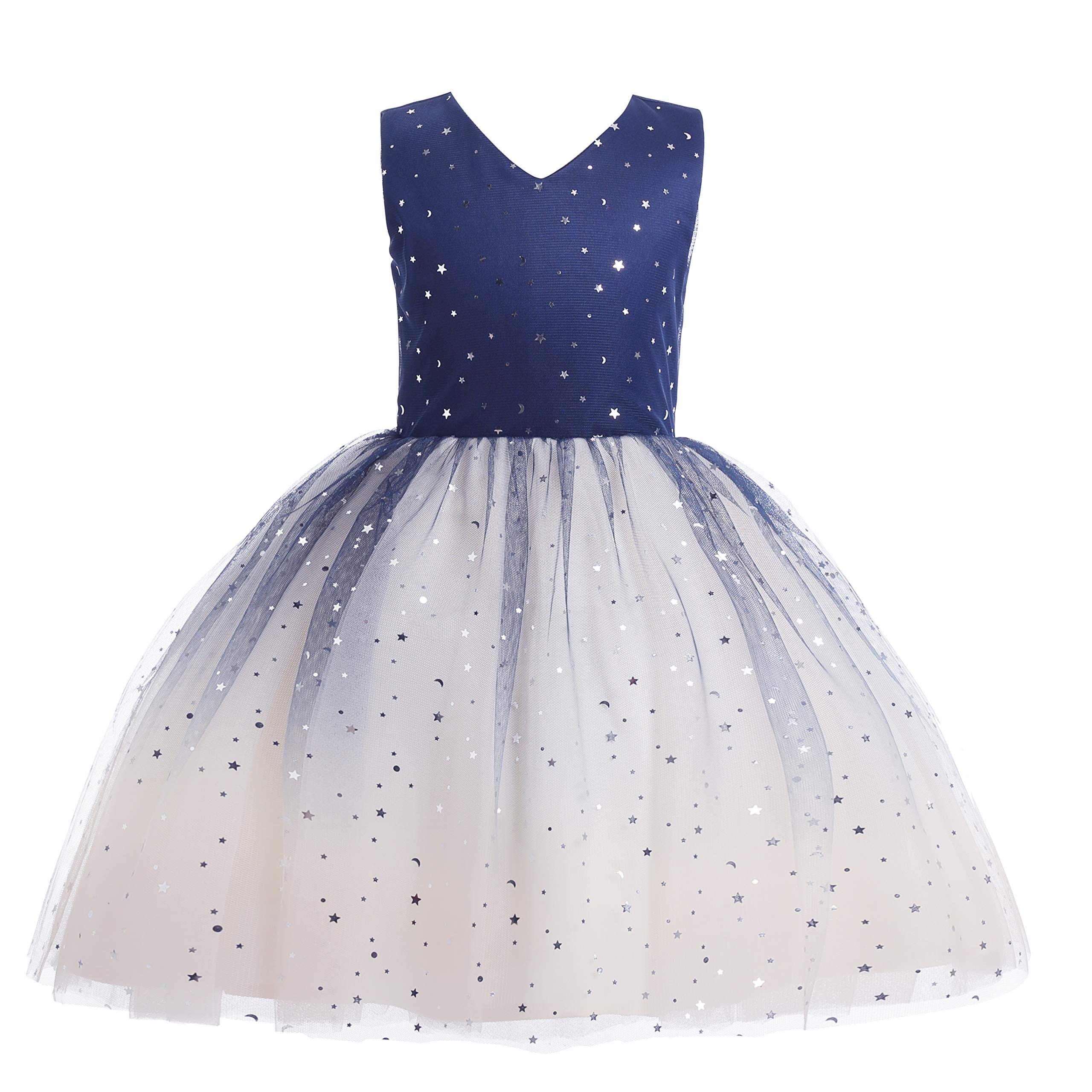 Glamulice Princess Sparkle Tulle Dress Little/Big Girls A Line Bridesmaid Wedding Birthday Party Pageant Tutu Dresses