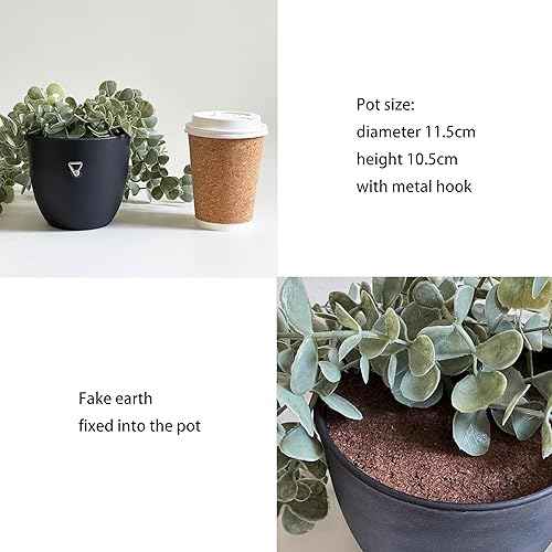 Miniatura 3 de Mr. Bom Plantas colgantes falsas para interiores y exteriores, con maceta para decoración de pared, escritorio, estante (Eucalyptus)