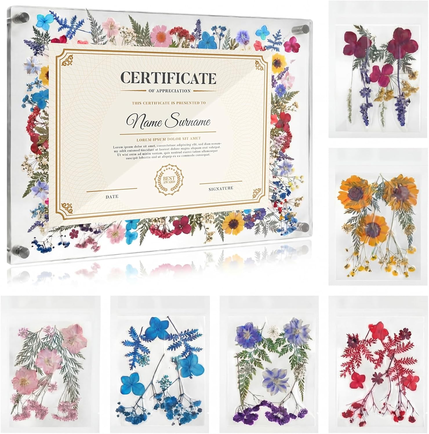 AmazingSpark 1 Set Pressed Flower Diploma Frame Floating Frameless Clear Acrylic Wall Mount Picture Frame, 24 Nano Strip 6 Color Pressed Flower for Certificate Degree Artwork (11x14'',Colorful)