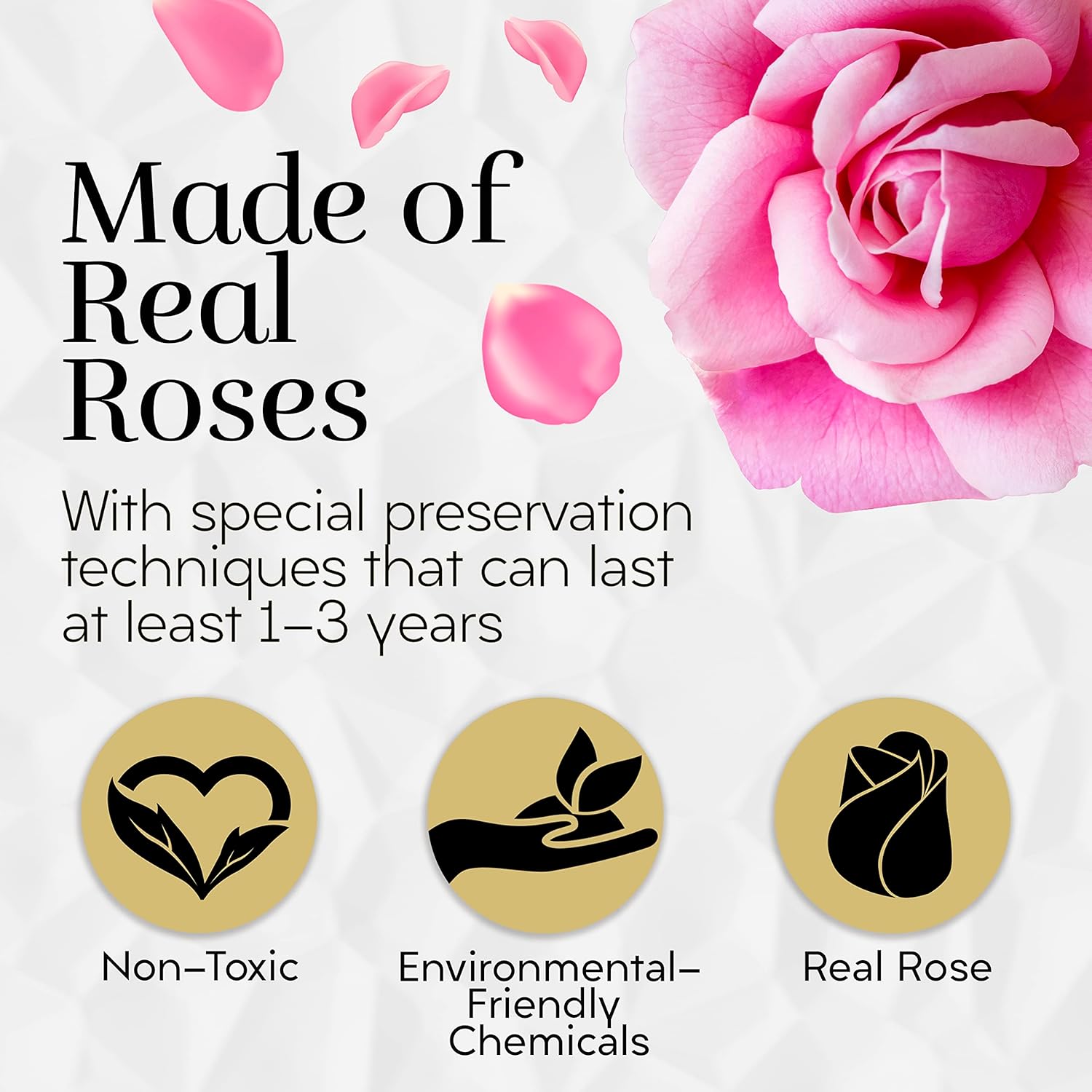 GLAMOUR BOUTIQUE Eternal Preserved Roses in a Box, Flowers Forever, Rose Forever in a Box for Wife or Her, Lasting Real Flower Gift, Elegant Luxury Floral Home Decor, 12 Roses, Pink (Color-Treated)