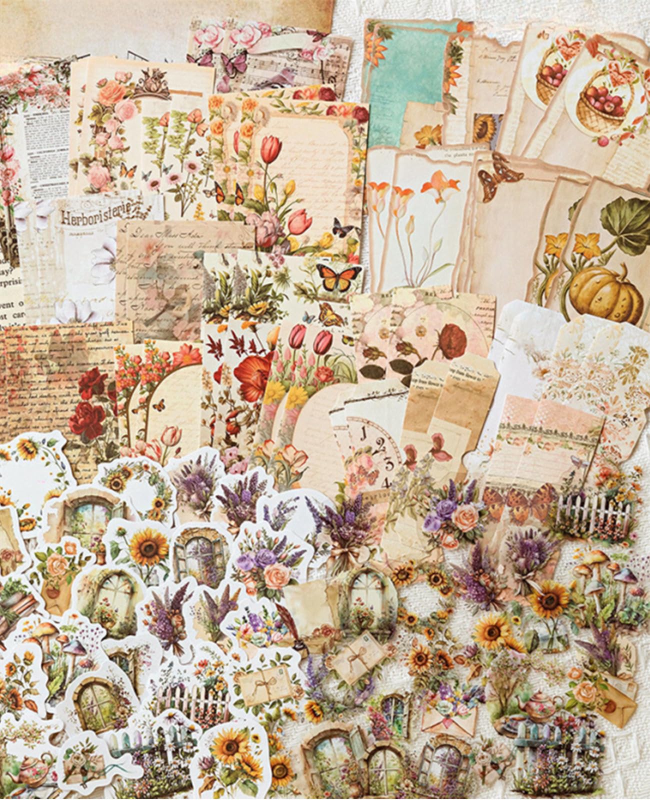 ÉTIQUETTES DE POCHE INSECTES avec arrière-plans – éphémères d'entomologie vintage pour journaux indésirables et scrapbooking | Etiquettes de poche imprimables | tl321 - France