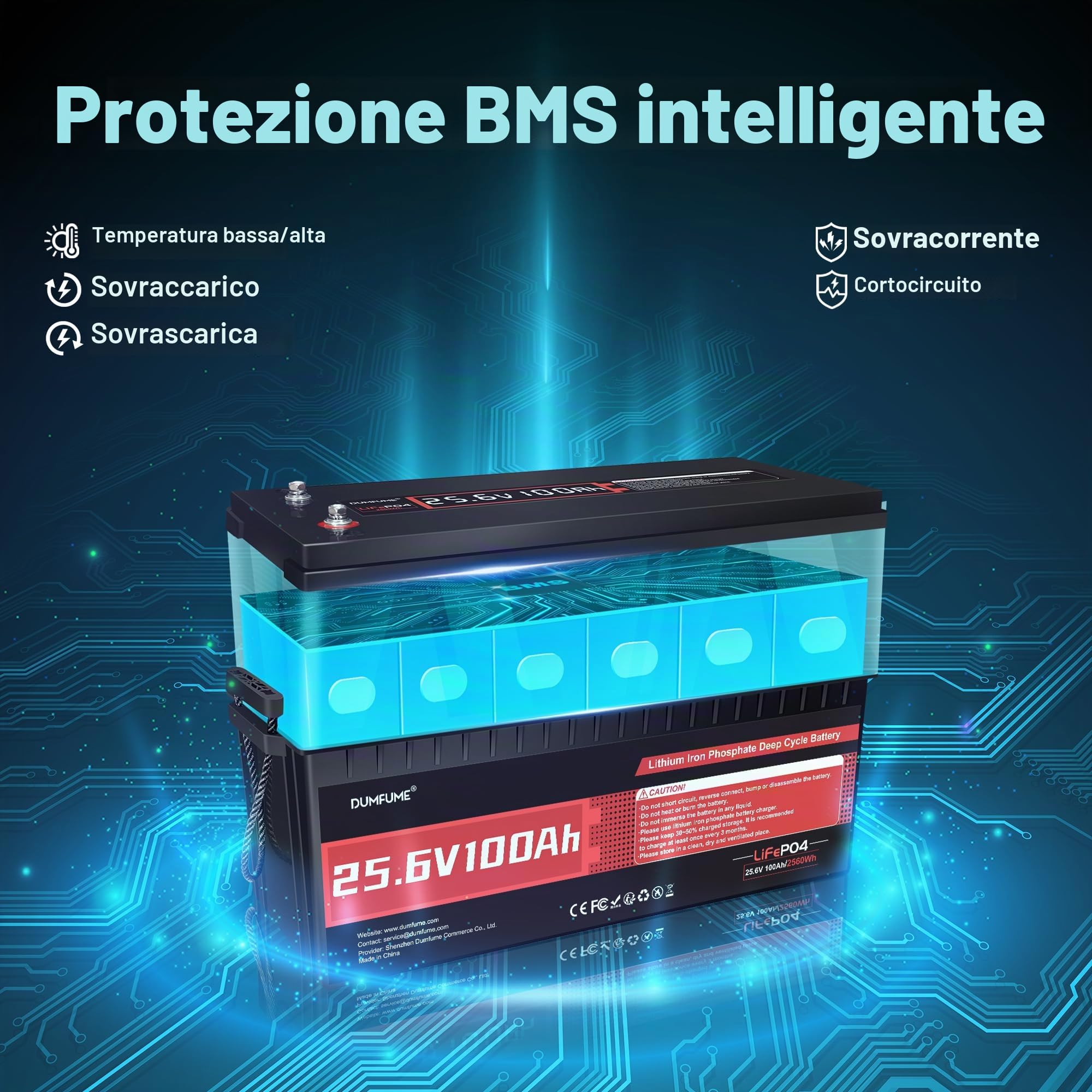 Batteria Litio Ferro Fosfato 24V 100Ah con BMS 100A | Protezione Basse Temperature per Accumulo Solare, Conversione Camper, Impianto Solare Isolato, Applicazioni Autonome
