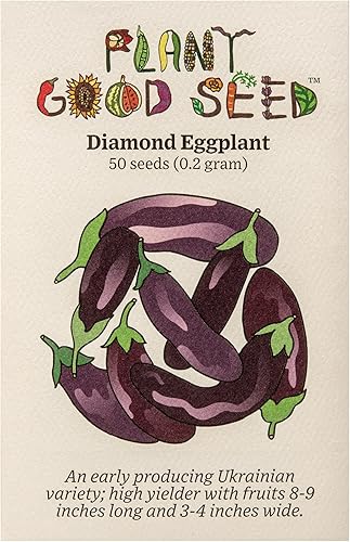 Semillas de berenjena de diamante, paquete de 50 unidades, orgánicas certificadas, sin OMG, polinización abierta, sin tratar para plantar, de