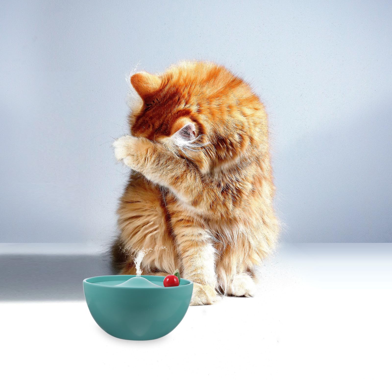 Toddmomy Fuente de Agua para Gatos Cerámica Diseño Único y Capacidad Suficiente, Bebedero Duradero y Estable Adecuado para Hogar y Mascotas Pequeñas
