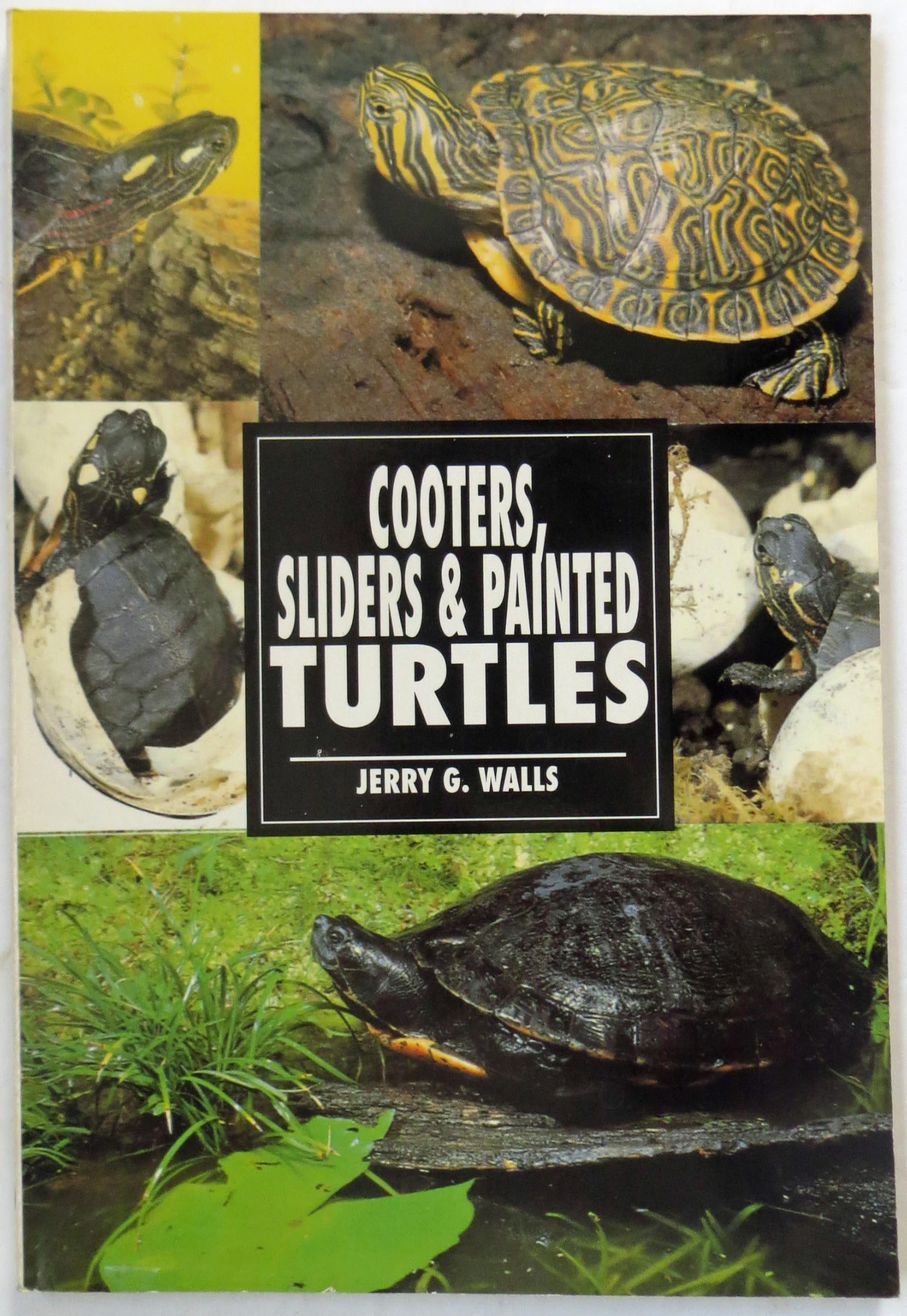 Cooters, Sliders & Painted Turtles (Herpetology series)