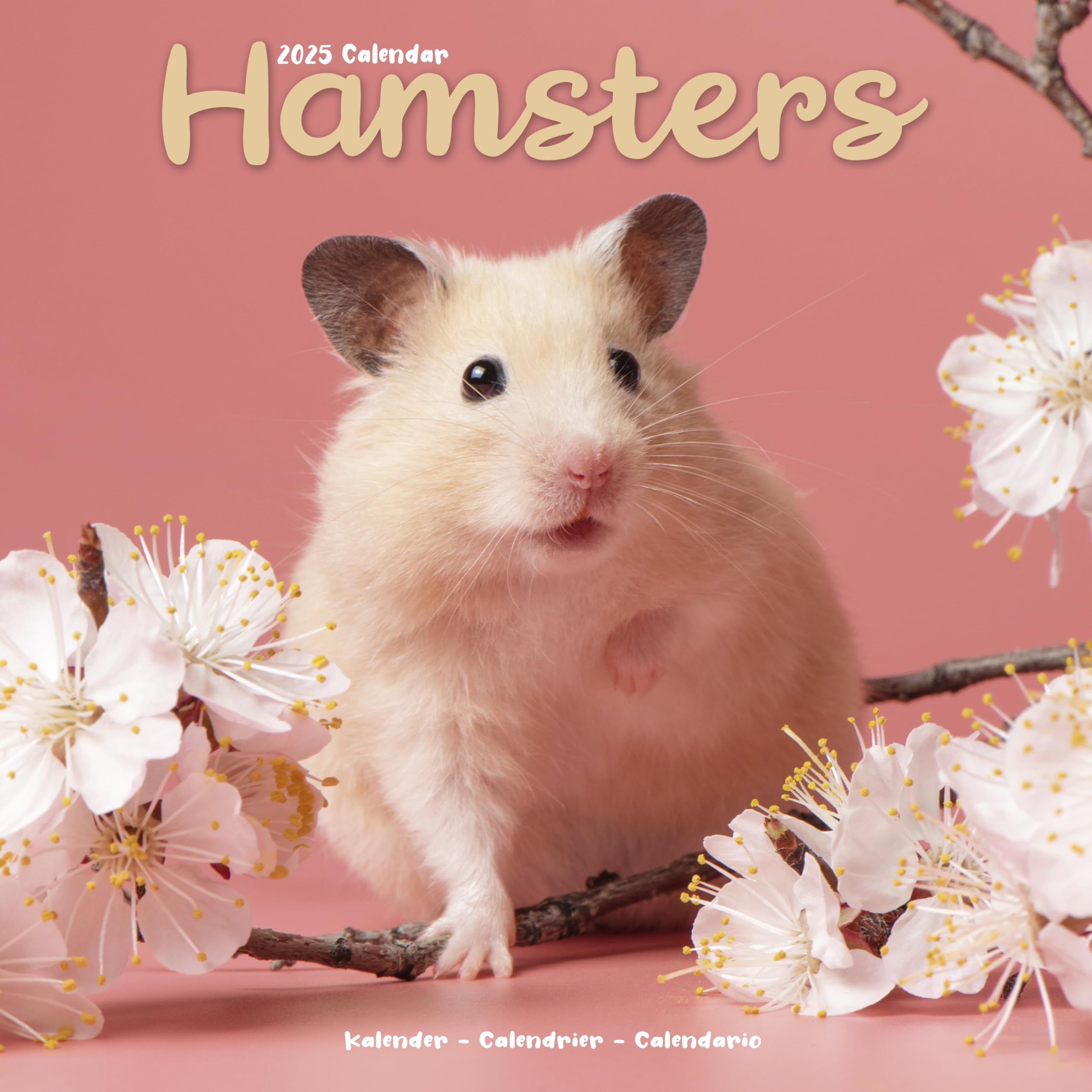 2025 Hamsters Wall Calendar, 12X12, Avonside Publishing