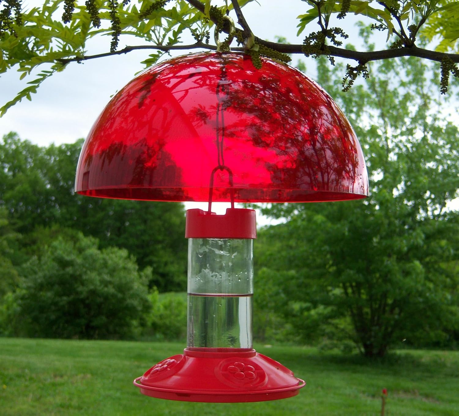Songbird Essentials Hummer Helper 12 Inch Hummer Helmet - Bird Feeder Baffle - Dome Cover - Protects Nectar and Attracts Hummingbirds to Bird Feeders