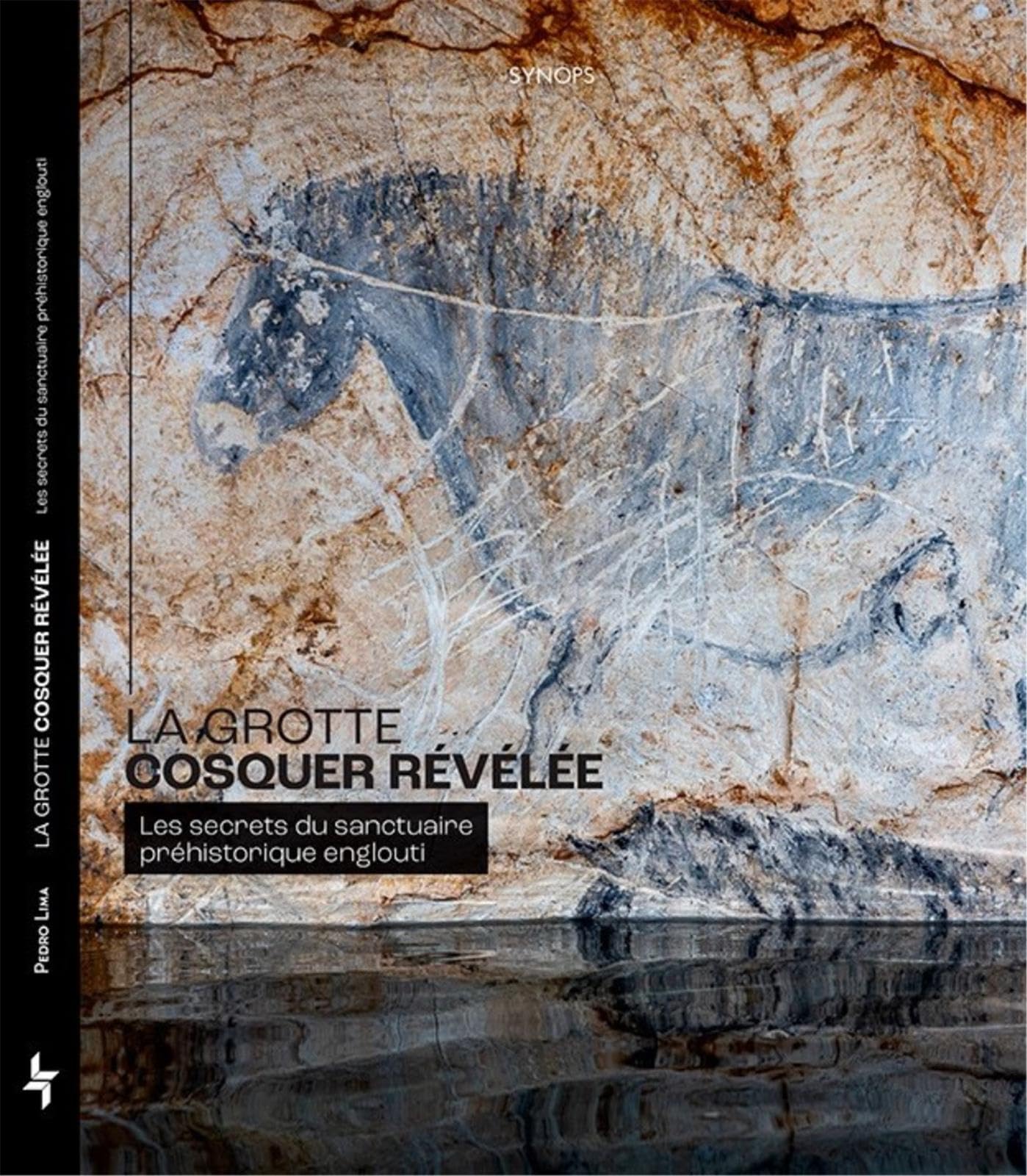 La grotte Cosquer révélée - les secrets du sanctuaire préhistorique englouti