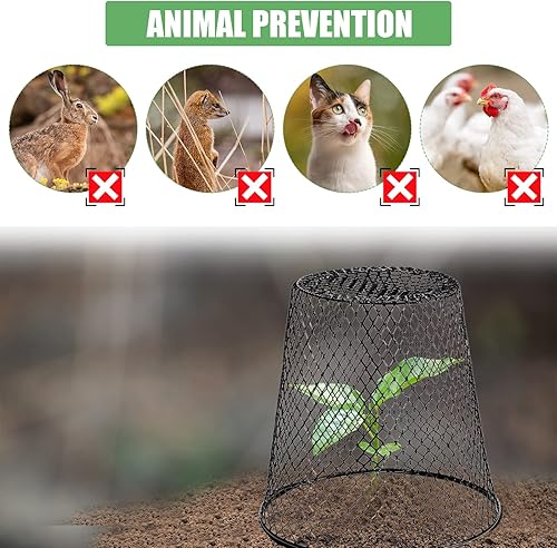 Miniatura 4 de 10 cubiertas de alambre de pollo de 8 pulgadas, cubiertas de alambre para jardín, alambre de pollo, protector de plantas Cloche de metal resistente