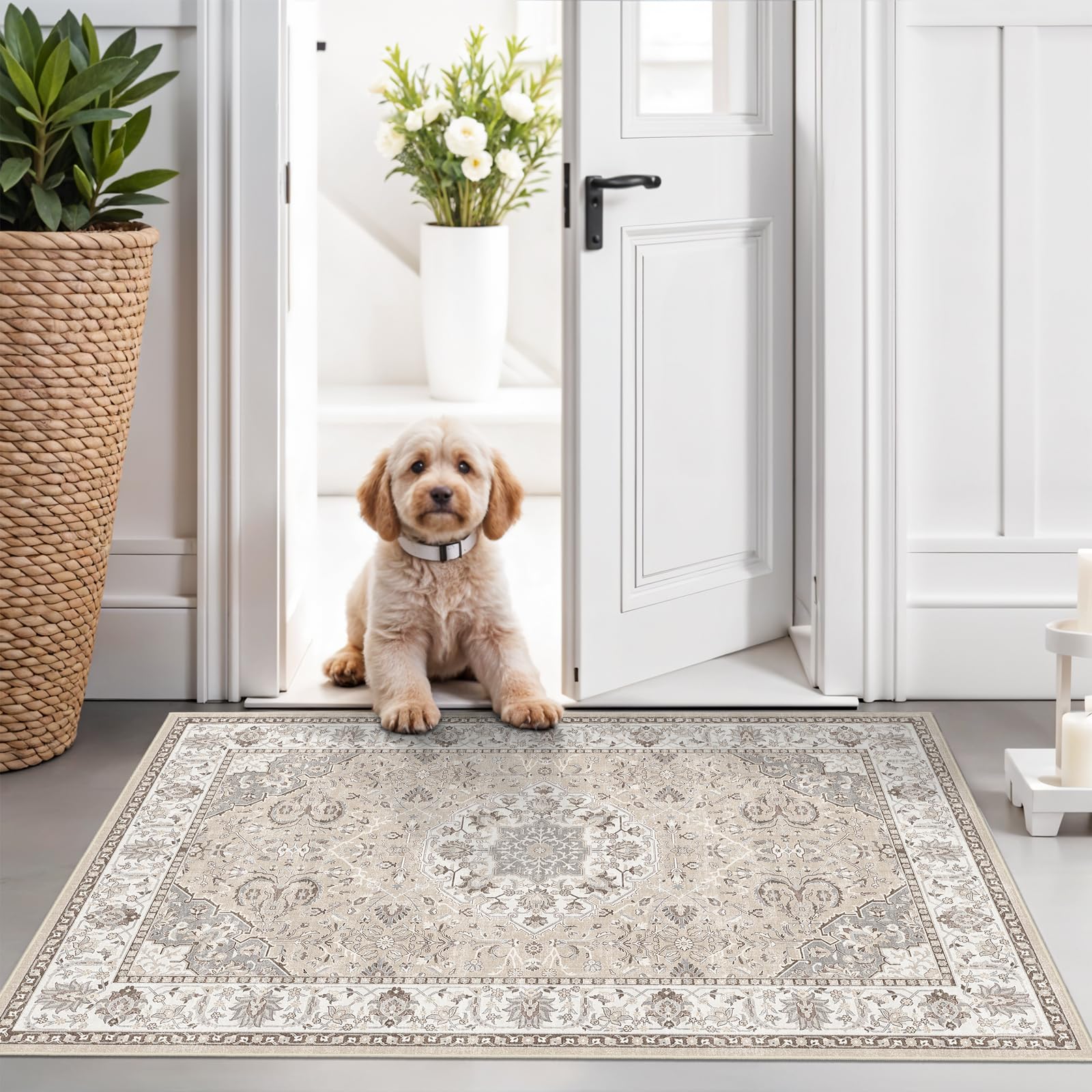 Washable 2x3 Entryway Area Rug - Neutral Kitchen Rug Runner Vintage Soft Floor Mat Non Slip Indoor Farmhouse Carpet for Bathroom Living Room Bedroom (2 X 3, Beige)OEKO-TEX STANDARD 100