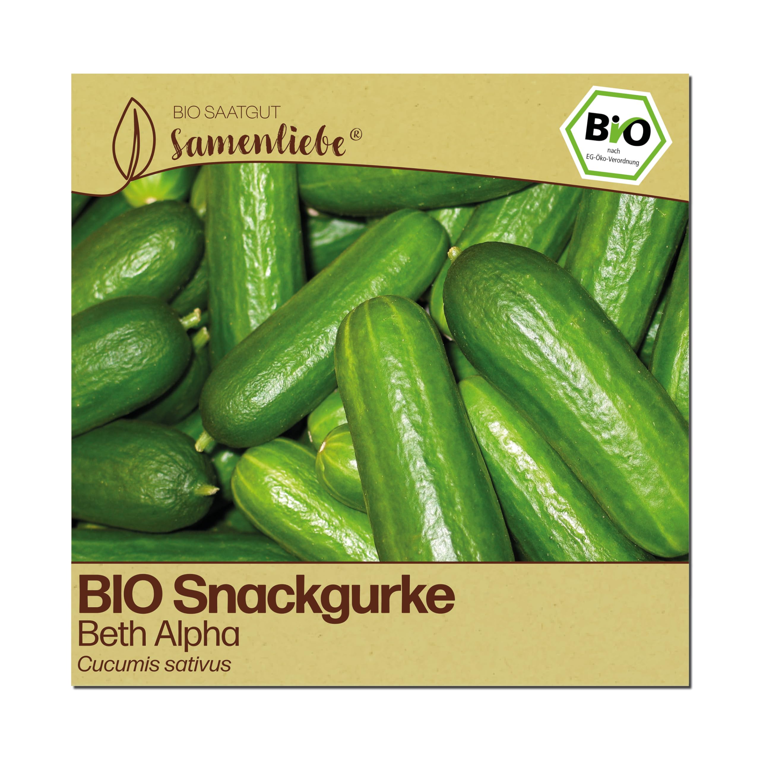 Samenliebe BIO Gurken Samen | Snackgurke Beth Alpha - mini & glatt - samenfestes BIO Saatgut