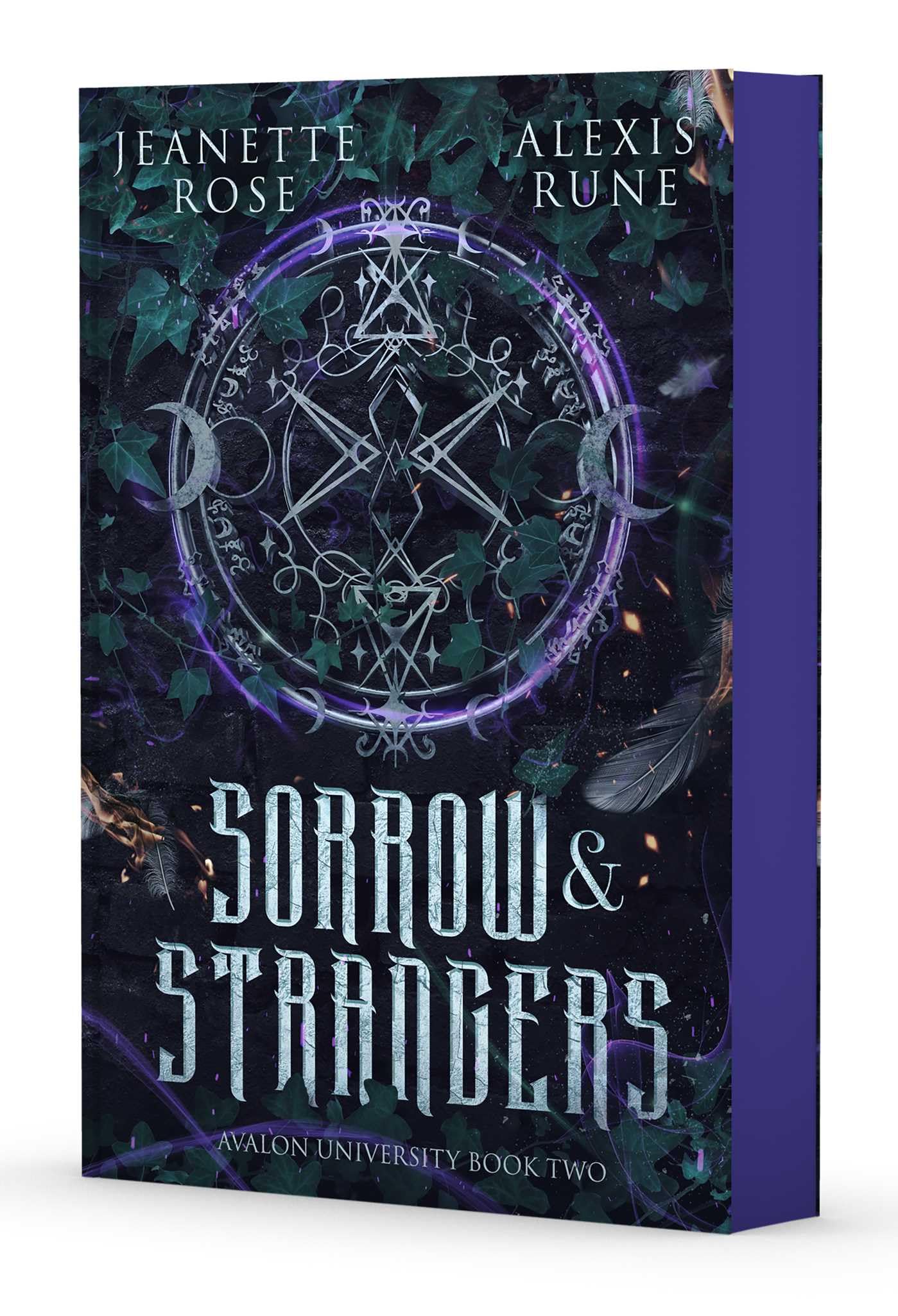 Sorrow & Strangers: Volume 2 (Avalon University)