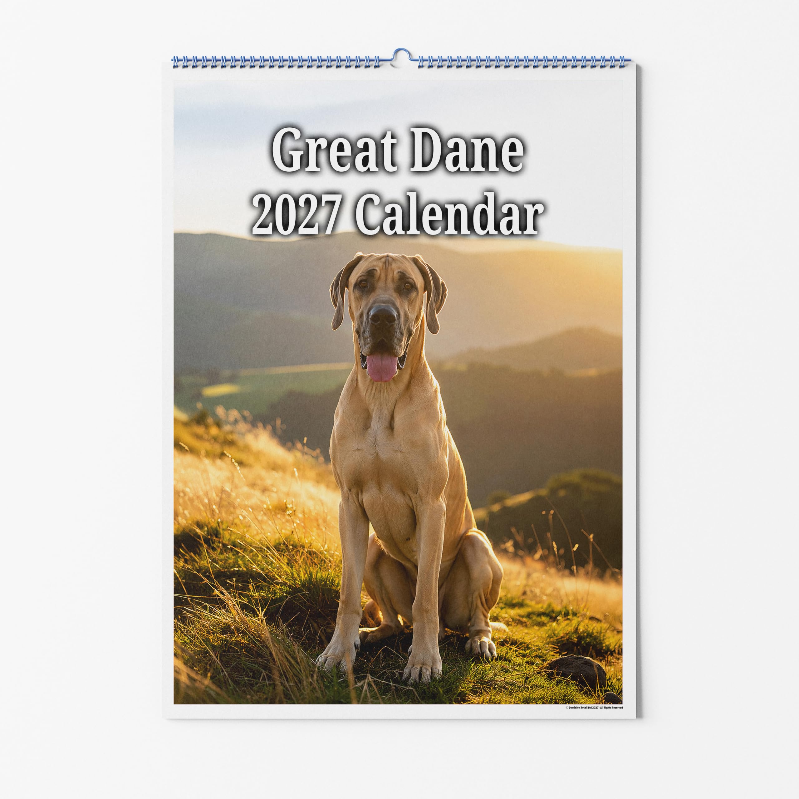 Party People A3 Wall Calendar - Great Dane Dog 2027 — image 1