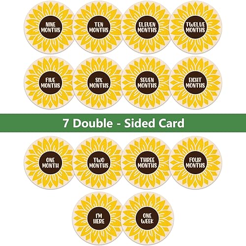 Miniatura 5 de Letreros mensuales de hitos de bebé, discos de madera de animales de la selva para fotos de bebé tomadas con letreros de Hello World  Tarjetas de