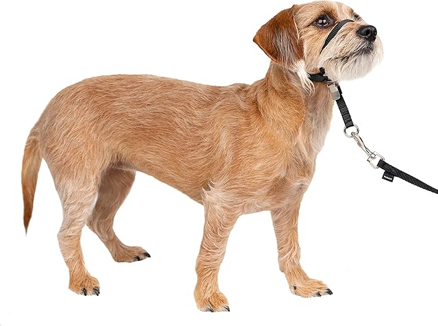 PetSafe Easy Walk Headcollar, No-pull Dog Walking Lead, Adjustable Fit, Comfortable, Small-Black