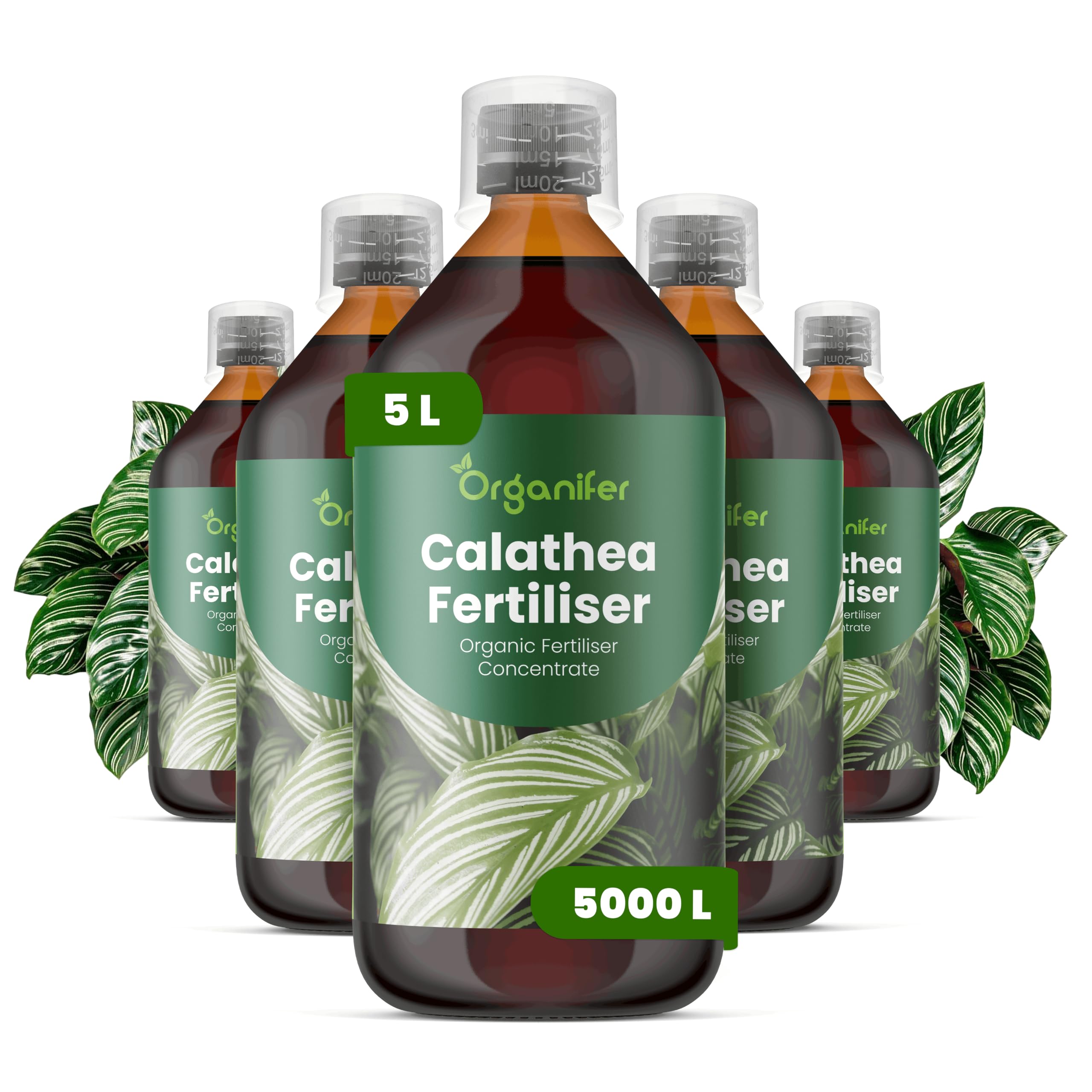 Calathea Nawóz Płynny - 5x1L - NPK 2-1-8 | Nawóz Płynny Dla Zdrowych Liści I Intensywnych Kolorów - Wspomaga Korzenie I Witalność - Organifer