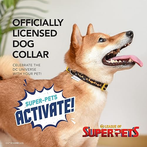 Miniatura 2 de DC Comics League of Super-Pets Ace Batman - Collar para perro, grande  Collar para perro con licencia oficial de DC League of Super-Pets  Collar