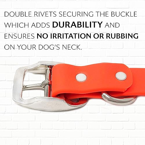 Miniatura 9 de Regal Dog Products Large Orange Dog Collar with Custom Engraved Name Plate - Custom Fit, Resistant, Easy to Clean Biothane Waterproof Personalized