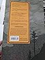 Louis Riel: A Comic-Strip Biography : Brown, Chester: Amazon.ca: Books