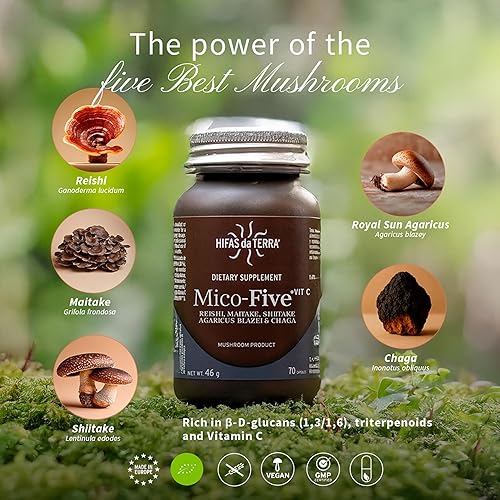 Miniatura 6 de HIFAS DA TERRA Mico-Five - Complejo de hongos, suplemento de hongos con reishi orgánico, shiitake y chaga, nootrópico herbario y apoyo inmunológico