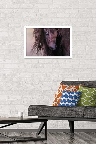 Miniatura 2 de Trends International Laurie Prindle - Póster de pared Equus, 14.72 x 22.37 pulgadas, versión enmarcada en blanco
