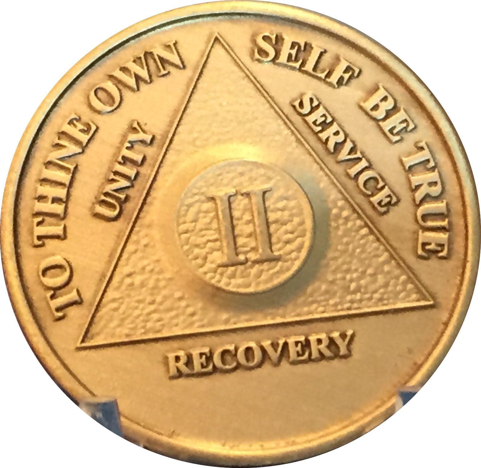 AA Anniversary Medallion Any Year 1-65 Chip Bronze Raised Center