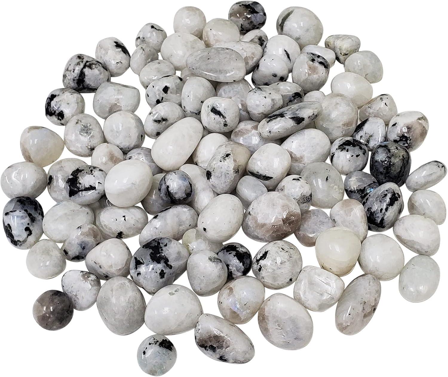 Gem Avenue 1 lb Natural Polished Rainbow Moonstone Gemstone Tumbled Stones Healing Crystals Bulk