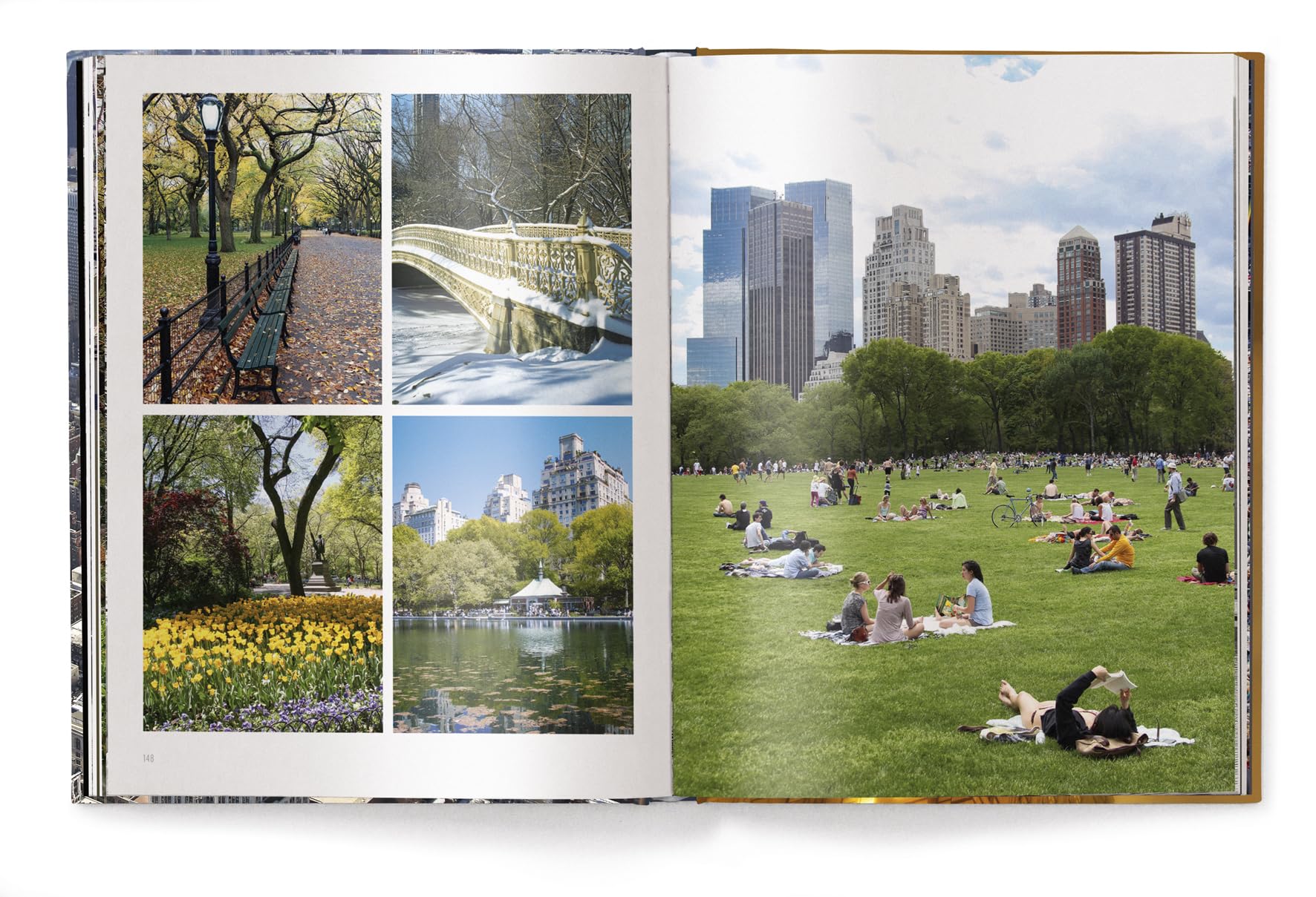 Iconic New York: (Revised Edition)