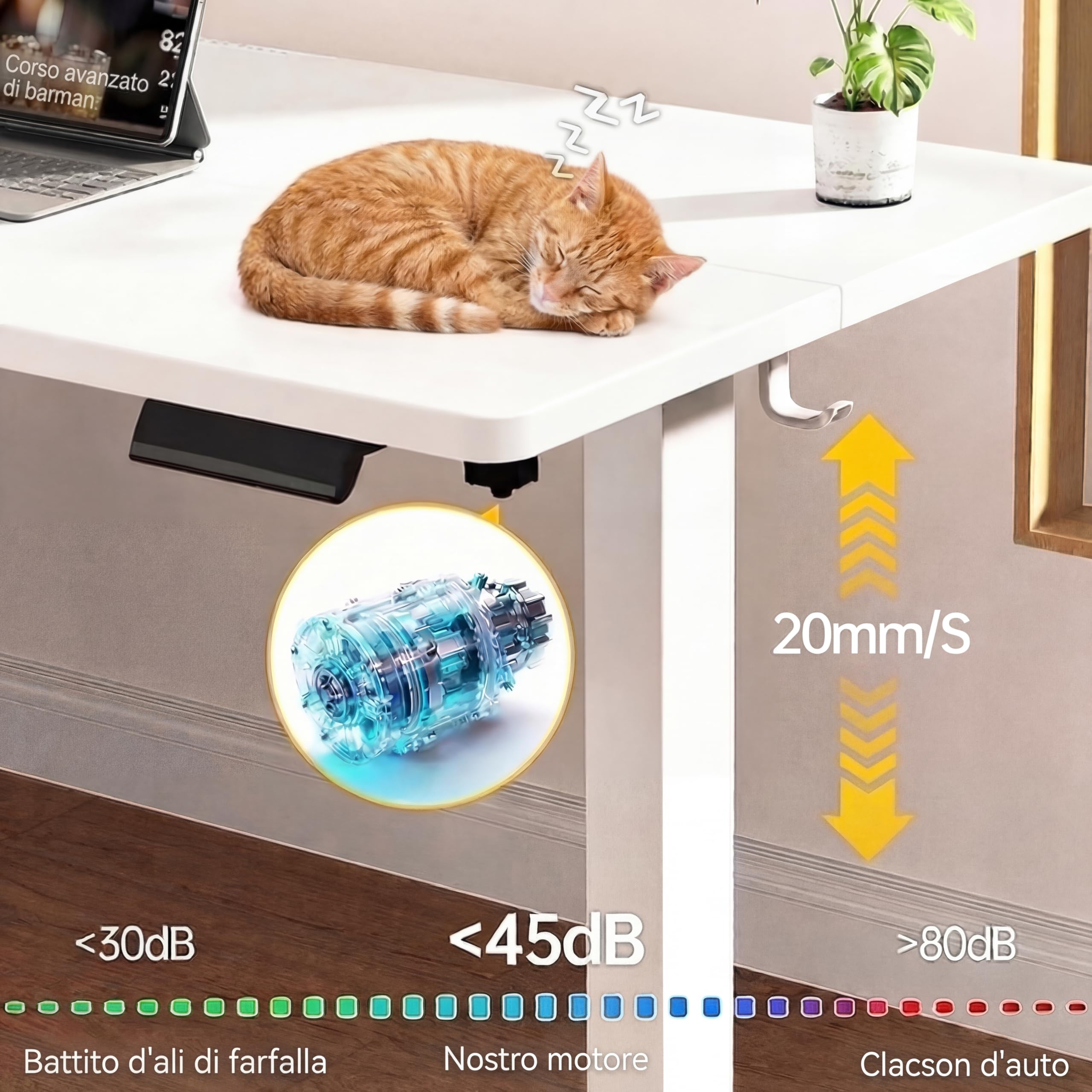 Grandder Scrivania Elettrica Regolabile in Altezza, 160 x 80 cm, Tavolo da Ufficio con Memoria 4 Altezze, Controllo Manuale, Ergonomico Sit-Stand, per Computer/PC, Bianco