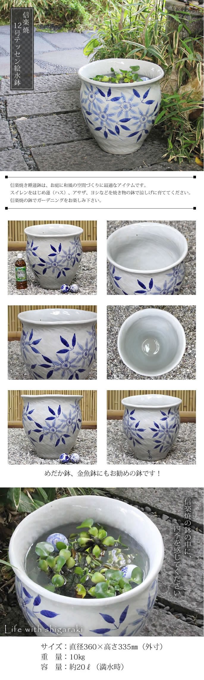 特殊なオリジナルめだか鉢