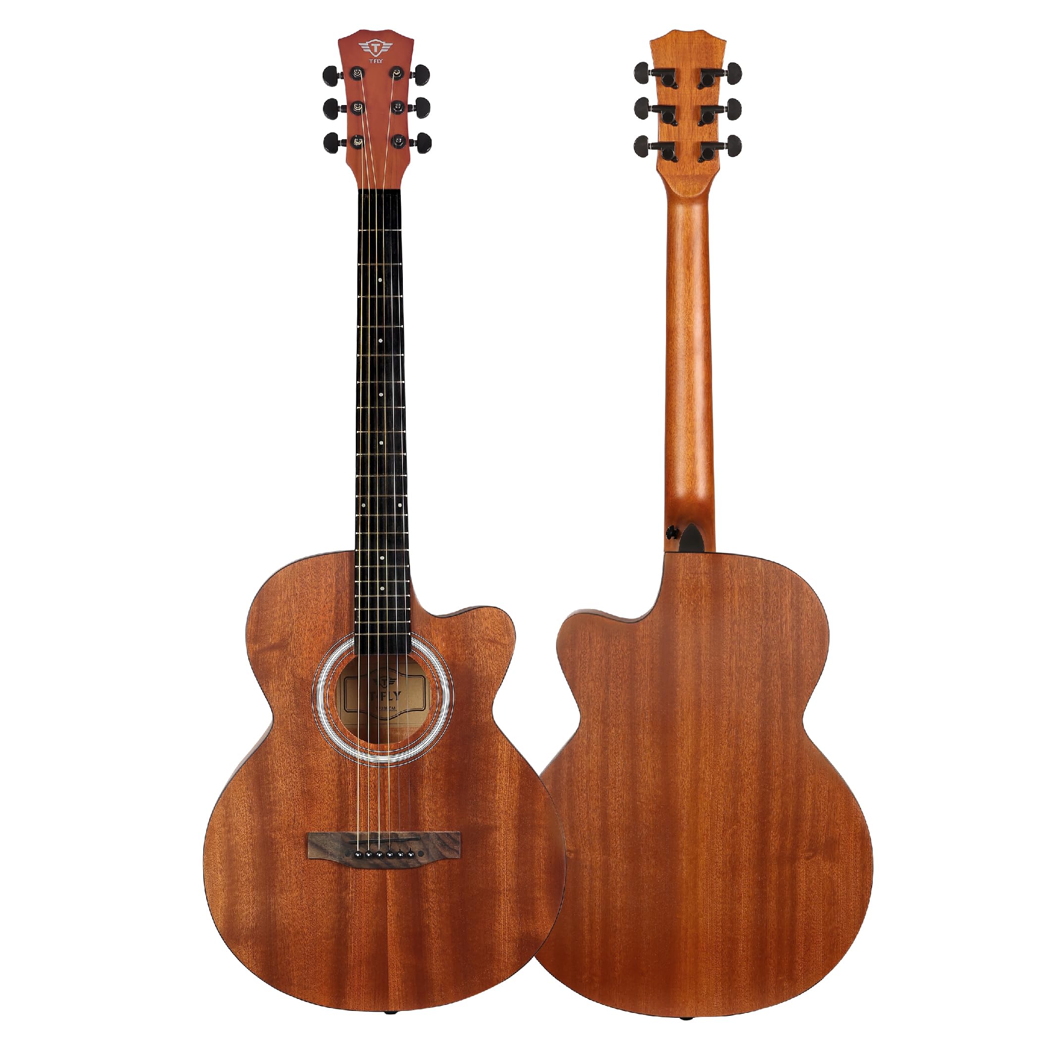 ギター usymyt0507 T Fly TF239CMP Semi-Acoustic Guitar, 39 Inches Cutaway, Rosewood