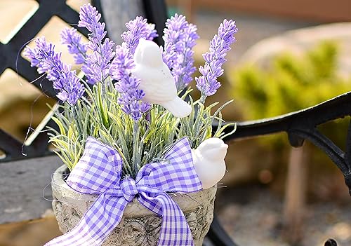 Miniatura 5 de Más de 100 Semillas de Lavanda Inglesa (Planta Lavandula) Medicinal - Hierba Púrpura