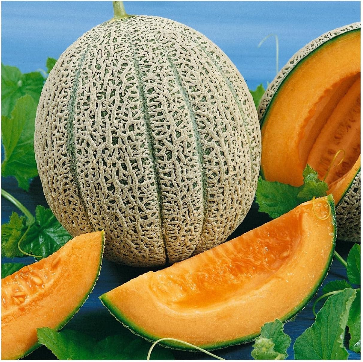 Everwilde Farms - 1/4 Lb Organic Hales Best Jumbo Melon Seeds - Gold Vault