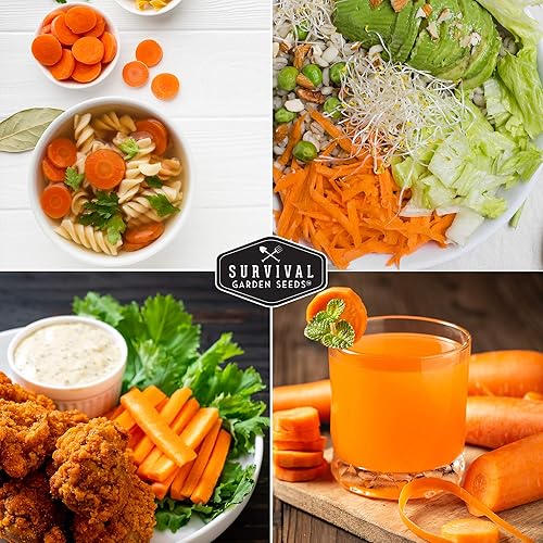Miniatura 5 de Survival Garden Seeds - Semilla de zanahoria Little Fingers para plantar - Paquete con instrucciones para plantar y cultivar deliciosas zanahorias